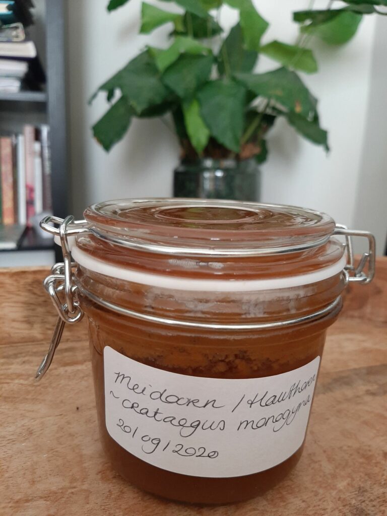 Meidoorn Jam Hawthorn Crataegus Monogyna Kruidengeneeskunde